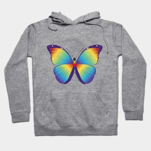 Rainbow morpho menelaus butterfly Hoodie